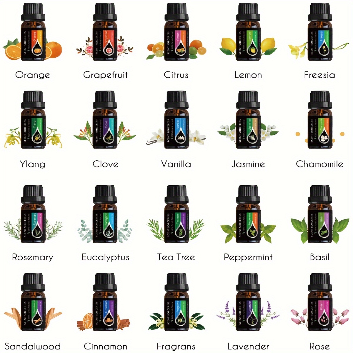 20pcs/set Essential Oil Set La - Perfume Fragrance Essence review and price
