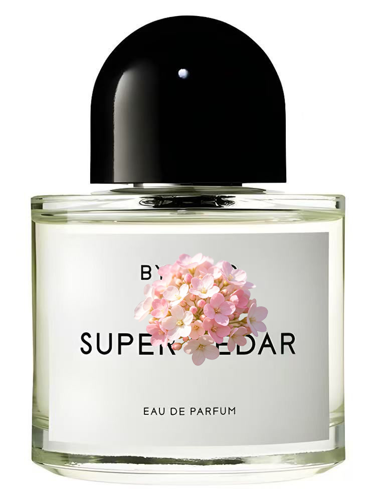 Unisex Eau de Parfum 100ml 3.4 - Perfume Xeryus review and price