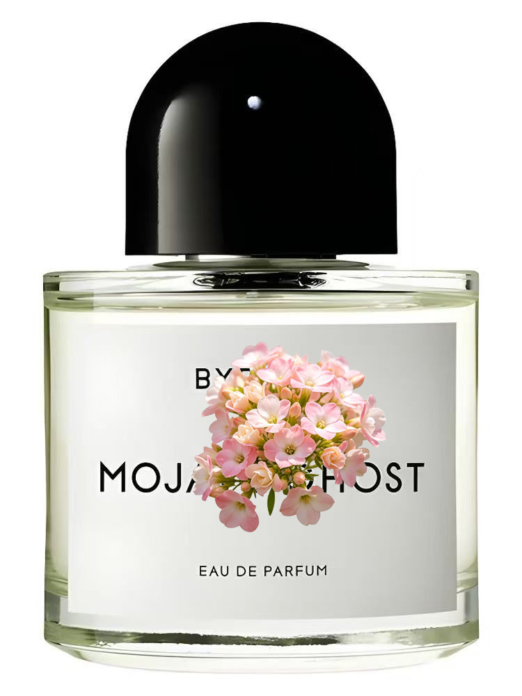 Unisex Eau de Parfum 100ml 3.4 - Perfume Xeryus review and price